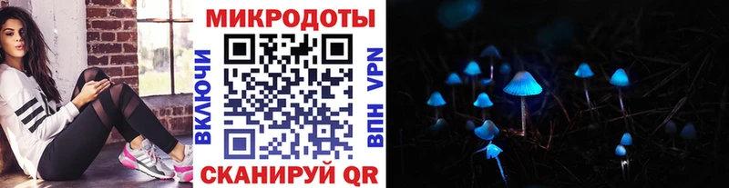 где купить наркоту  Отрадная  Псилоцибиновые грибы Psilocybine cubensis 