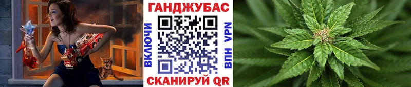 Конопля план  Отрадная 